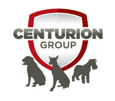 centurion group logo.jpg